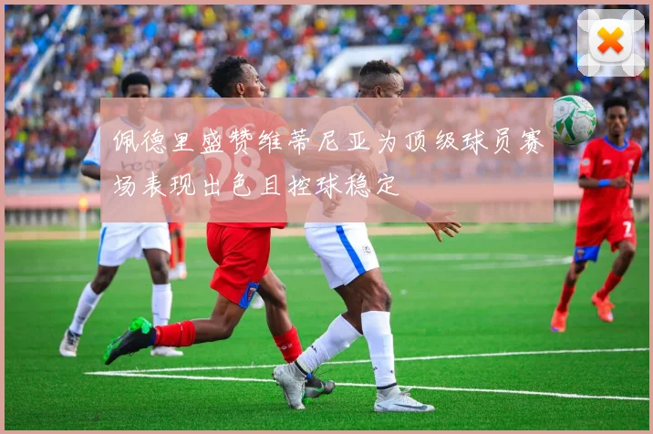 佩德里盛赞维蒂尼亚为顶级球员赛场表现出色且控球稳定