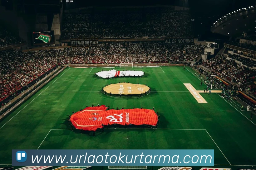 未来规划